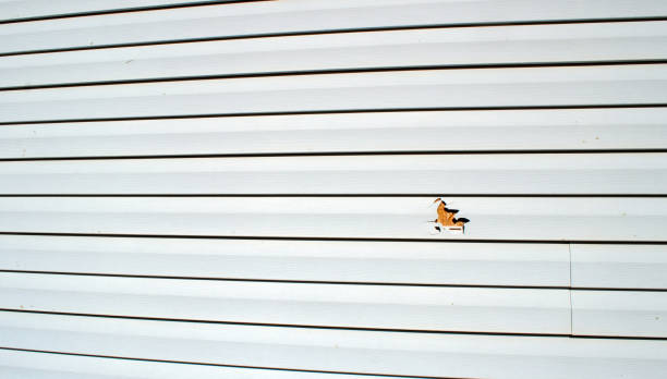 Best Engineered Wood Siding  in Cottonwood, AL