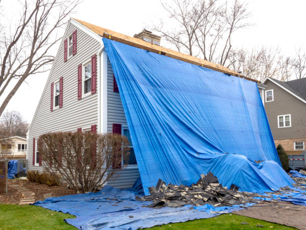 Best Fascia and Soffit Installation  in Cottonwood, AL